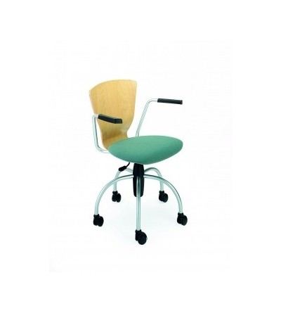 Silla ruedas 527-A